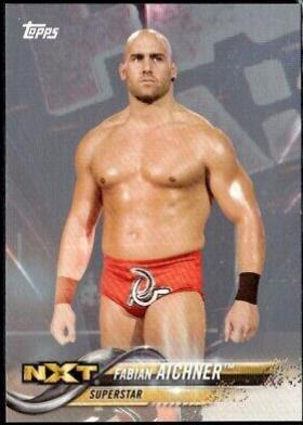 Fabian Aichner [Silver] #129