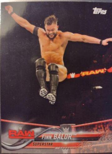 Finn Balor #131