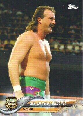 Jake 'The Snake' Roberts #193