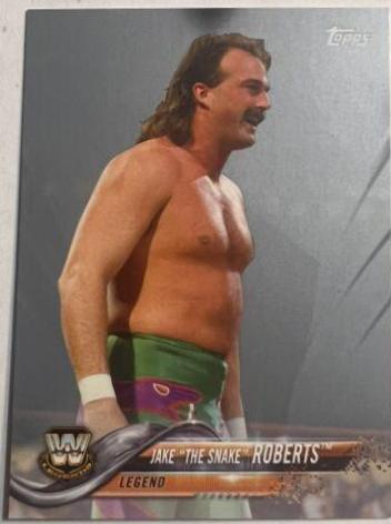 Jake 'The Snake' Roberts [Silver] #193