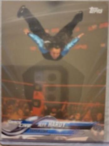 Jeff Hardy [Bronze] #137
