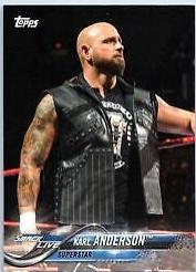 Karl Anderson #141