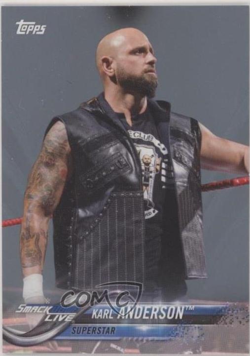 Karl Anderson [Silver] #141