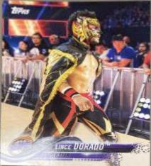 Lince Dorado #146