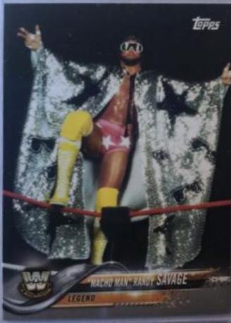 Macho Man' Randy Savage #195