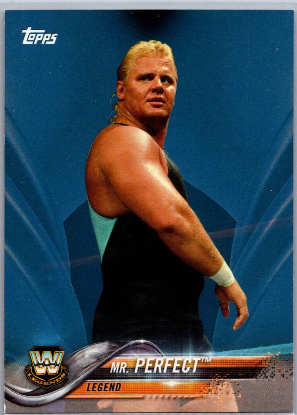 Mr. Perfect [Blue] #197