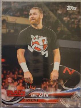 Sami Zayn #169