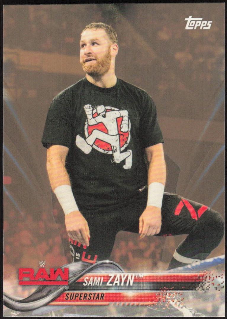 Sami Zayn [Bronze] #169