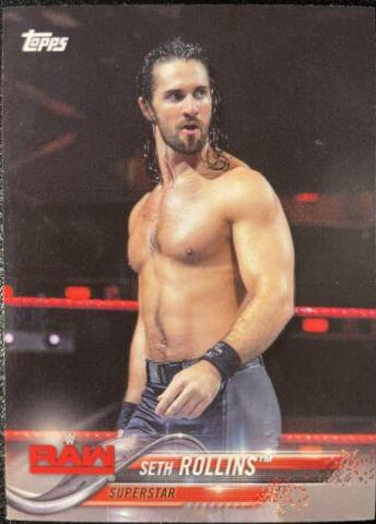 Seth Rollins #174
