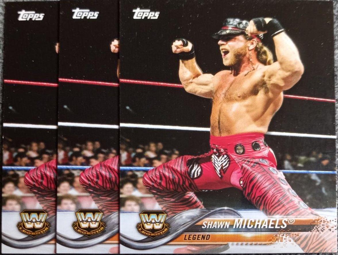 Shawn Michaels #198