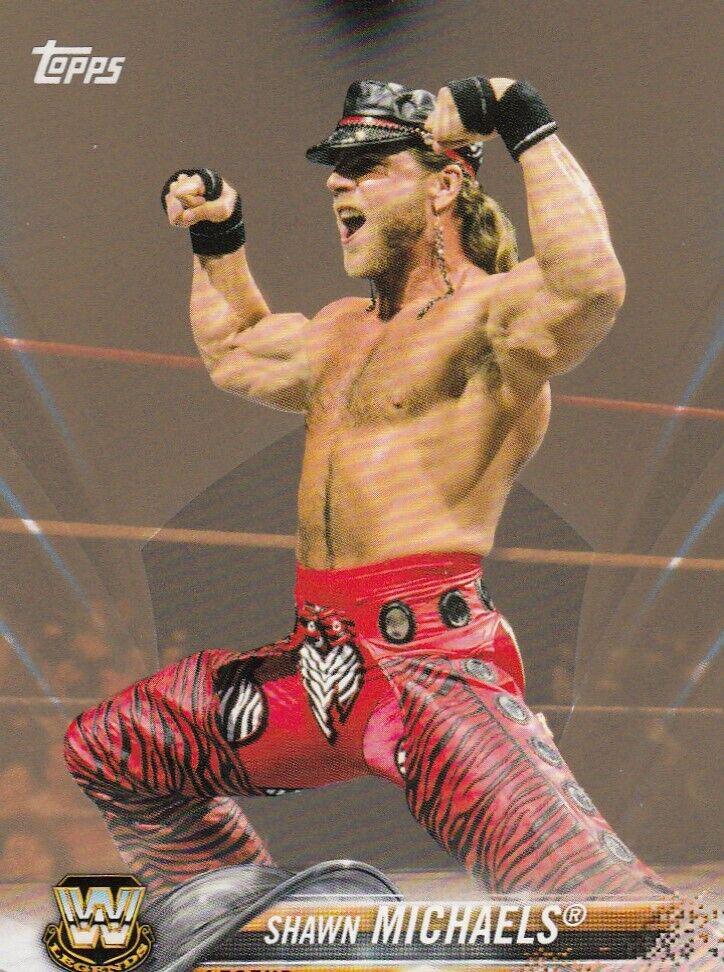 Shawn Michaels [Bronze] #198