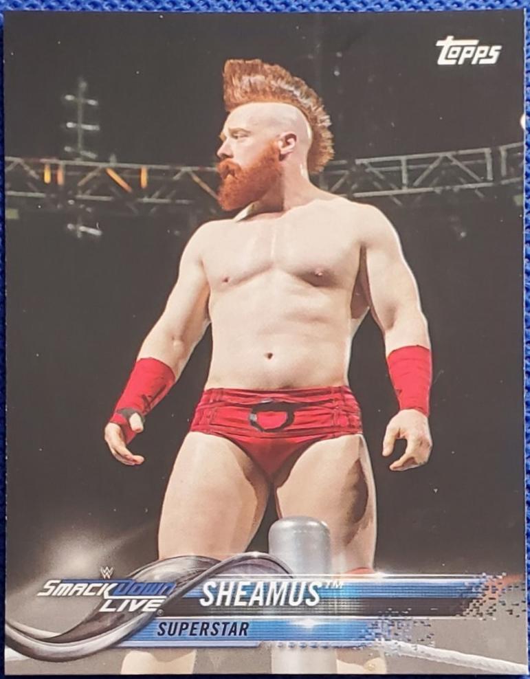 Sheamus [Bronze] #177