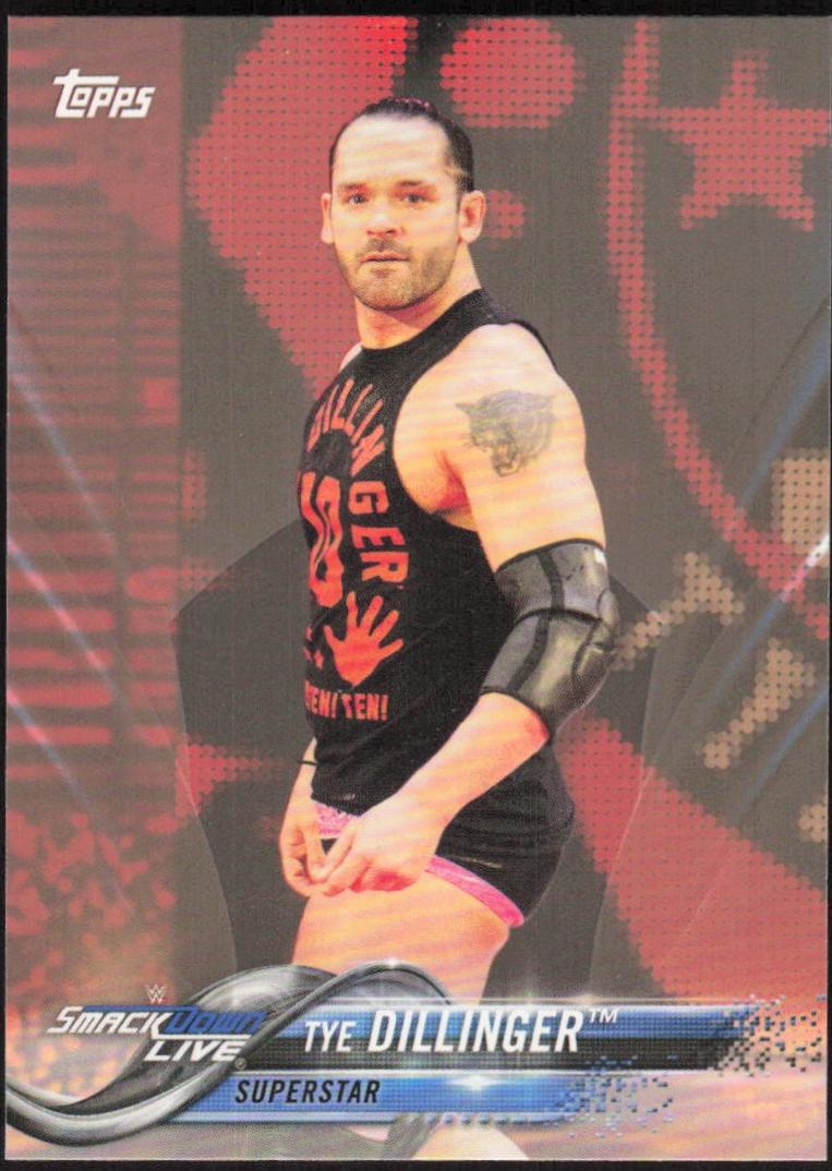 Tye Dillinger [Bronze] #183