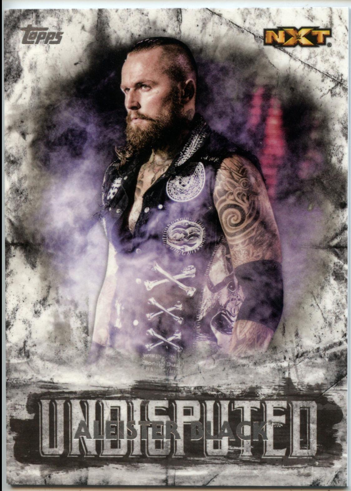 Aleister Black #47