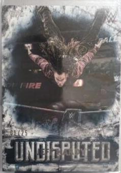 Jeff Hardy [Blue] #20
