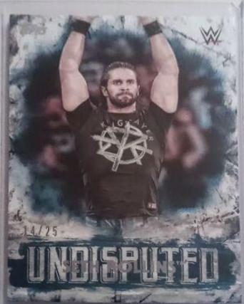 Seth Rollins [Blue] #39