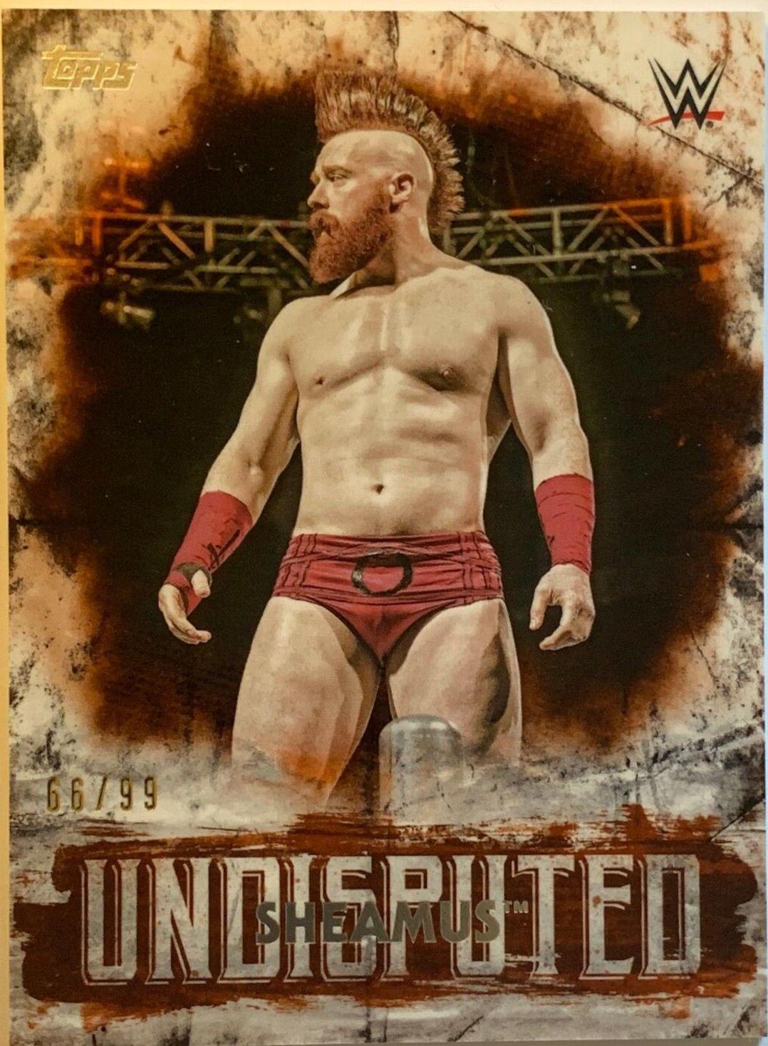 Sheamus [Orange] #40