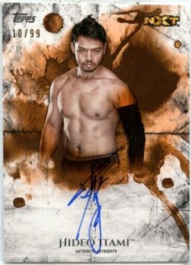 Karl Anderson [Orange] #UA-KA