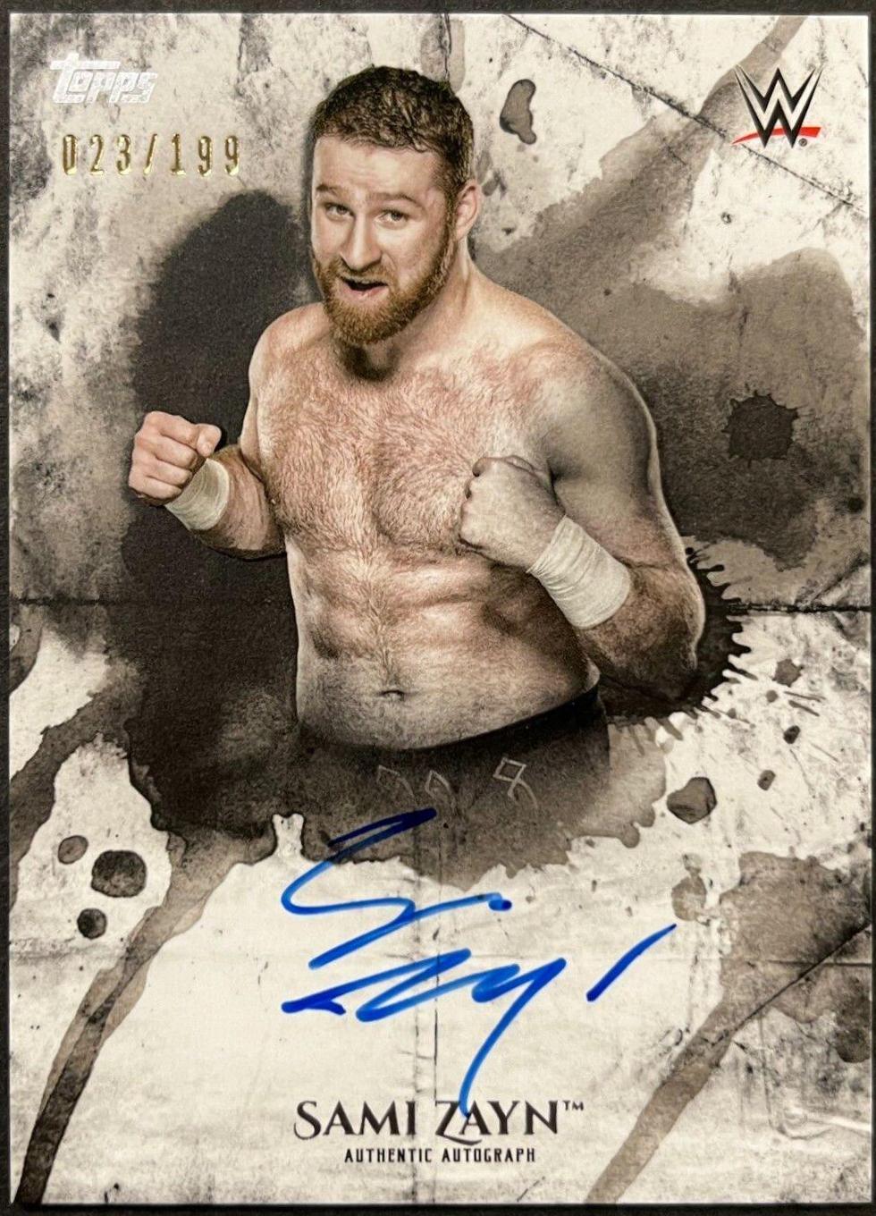 Sami Zayn #UA-SZ