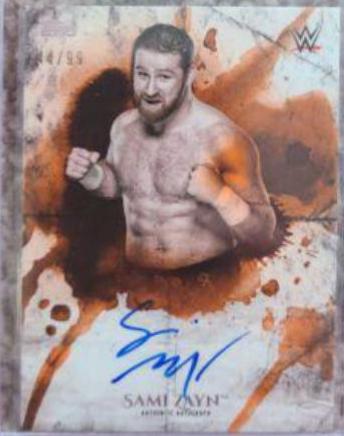 Sami Zayn [Orange] #UA-SZ