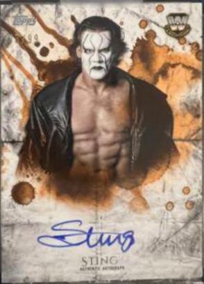 Sting [Orange] #UA-ST