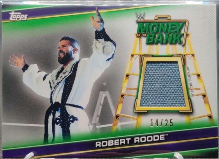 Robert Roode [Purple] #16