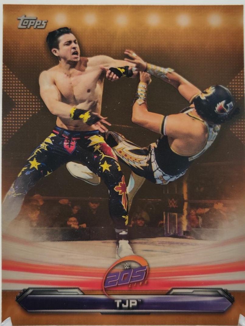 TJP [Bronze] #88