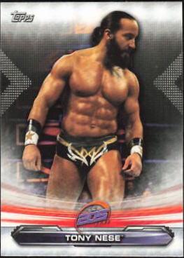 Tony Nese #89