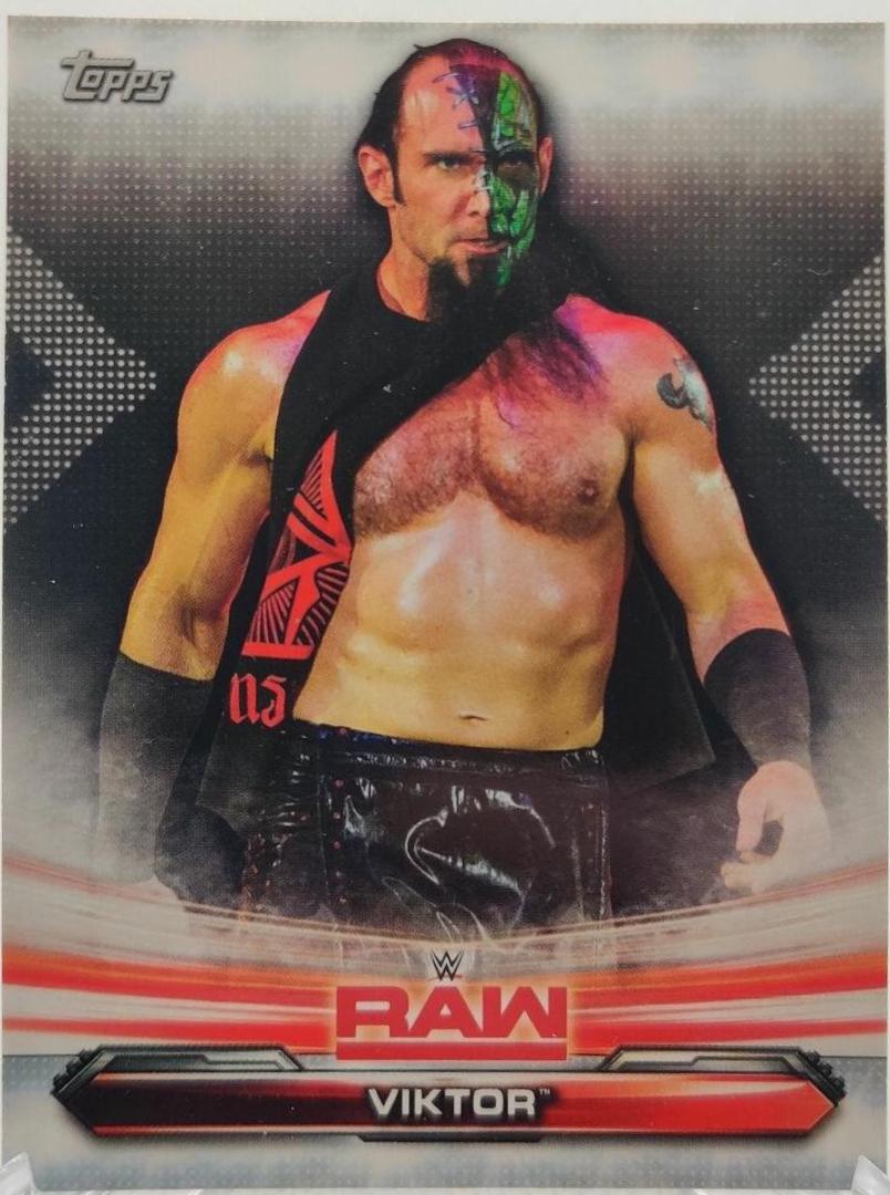 Viktor #73