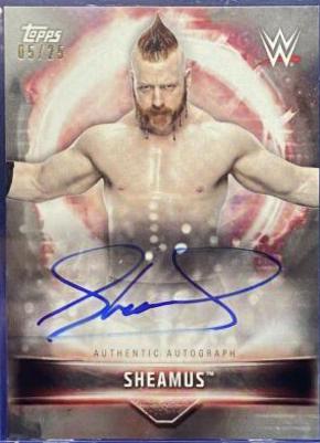 Sheamus [Silver] #A-SH