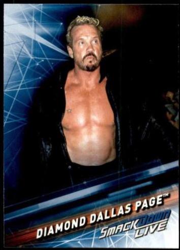 Diamond Dallas Page #72