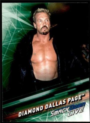 Diamond Dallas Page [Green] #72