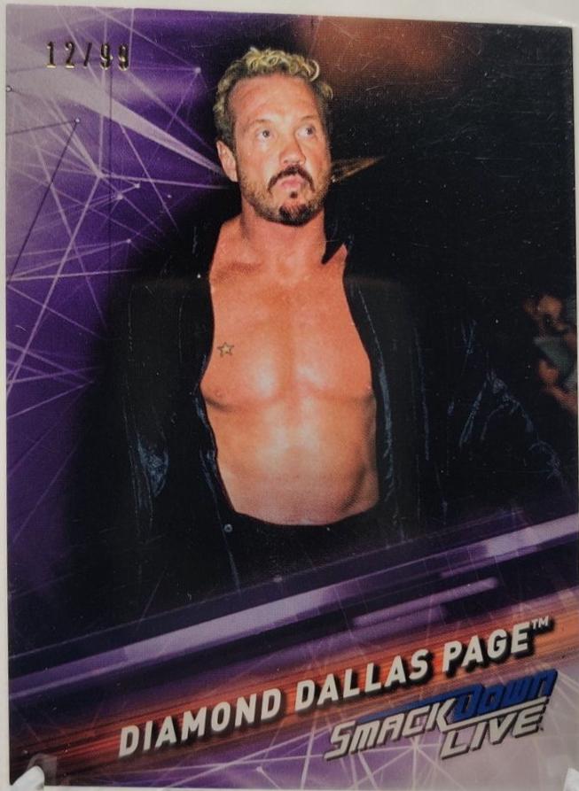 Diamond Dallas Page [Purple] #72