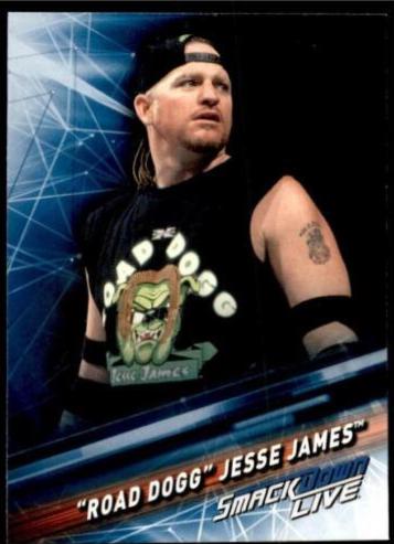 Road Dogg' Jesse James #84