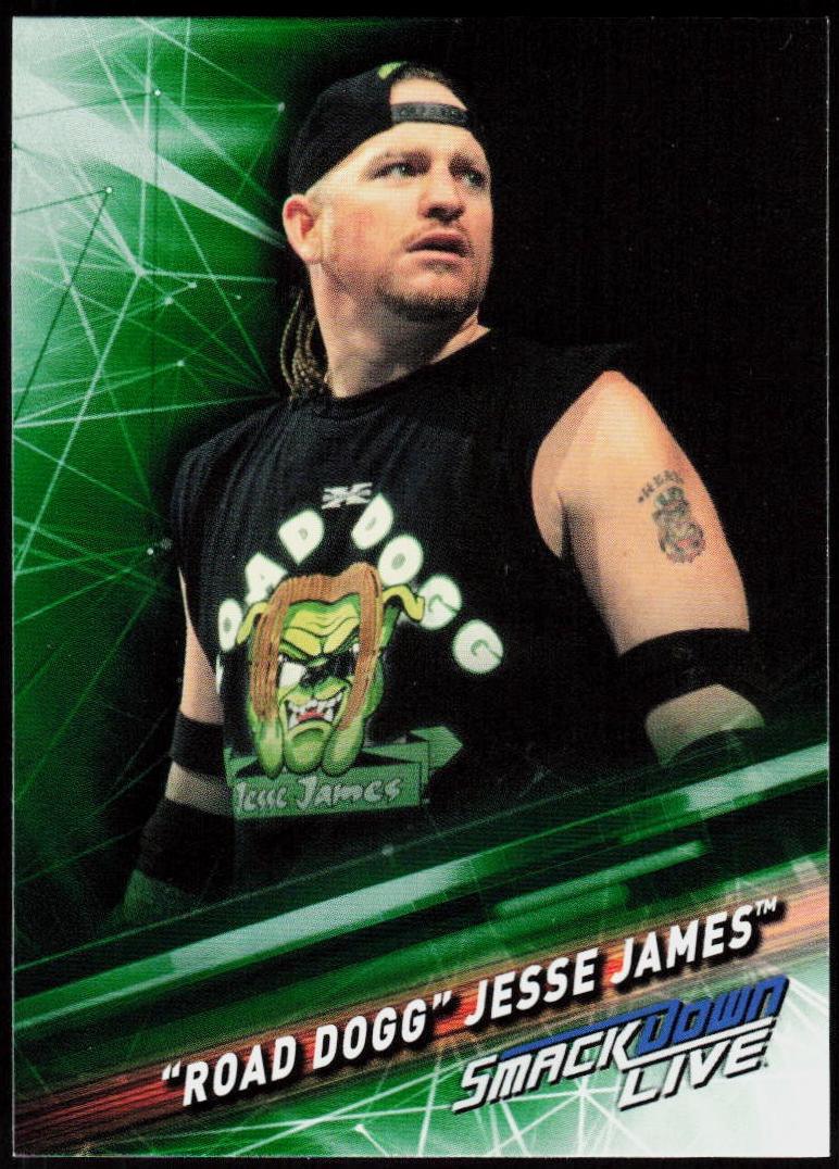 Road Dogg' Jesse James [Green] #84