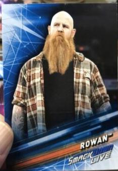 Rowan #43