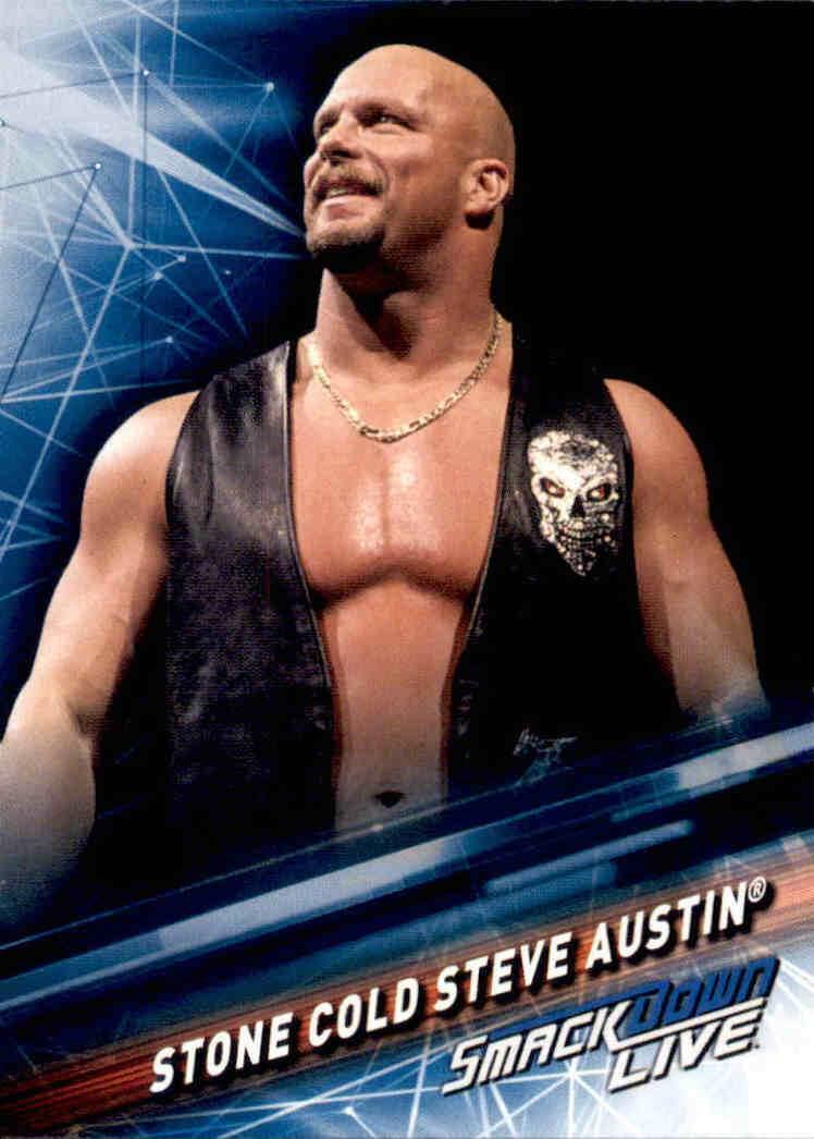 Stone Cold Steve Austin #87