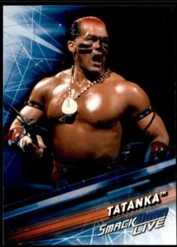 Tatanka #88