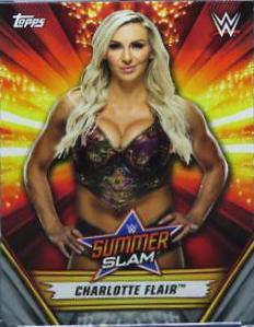 Charlotte Flair [Silver] #46