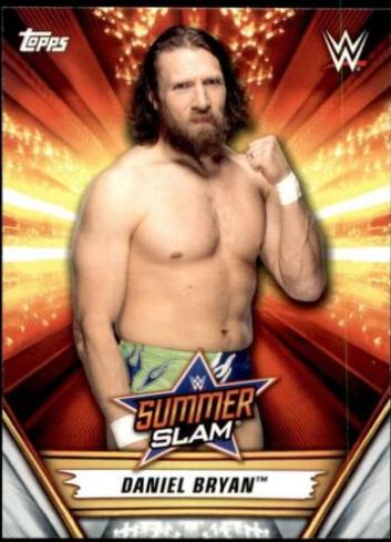 Daniel Bryan #33