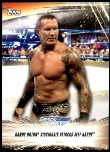 Randy Orton Viciously Attacks Jeff Hardy #86