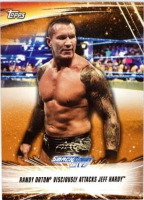 Randy Orton Viciously Attacks Jeff Hardy [Bronze] #86