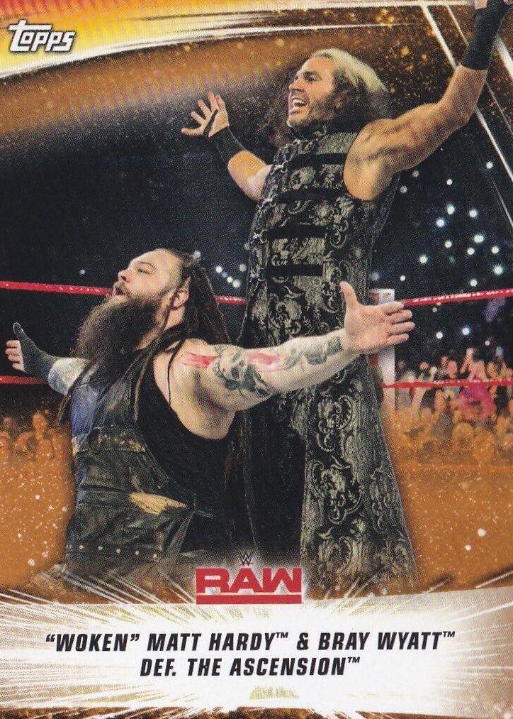 Woken' Matt Hardy & Bray Wyatt def. The Ascension [Bronze] #51
