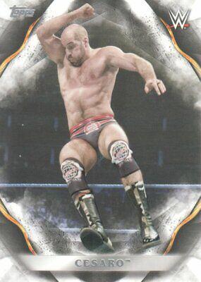 Cesaro #19