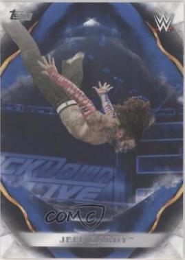 Jeff Hardy [Blue] #33