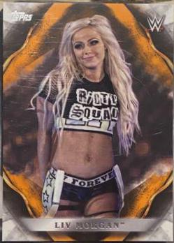 Liv Morgan [Orange] #45