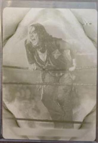 Nikki Cross #83