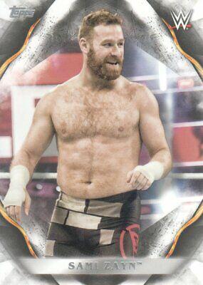 Sami Zayn #60