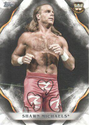 Shawn Michaels #88