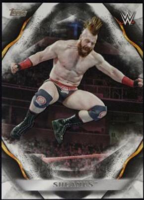 Sheamus #66